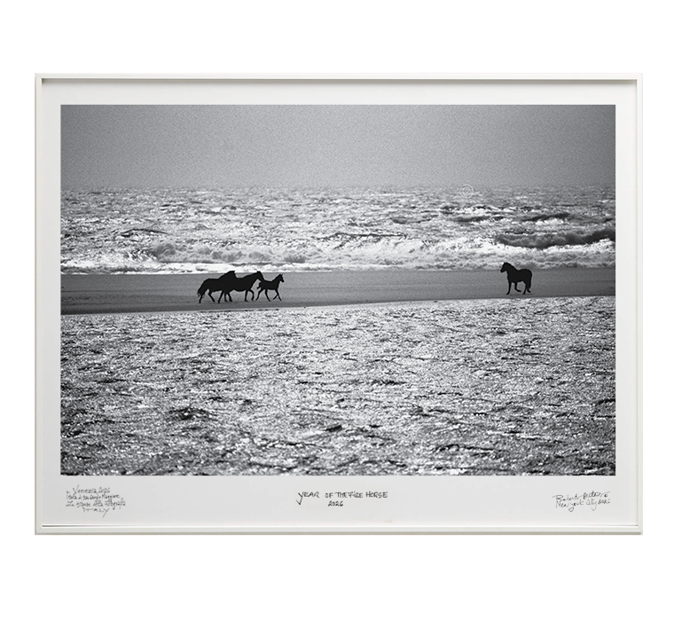 RobertoDutesco-venice-past-to-present