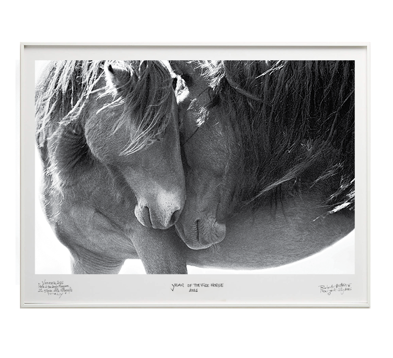 RobertoDutesco-venice-tenderness